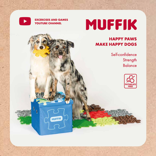 Pets Sensory Snuffle Set
